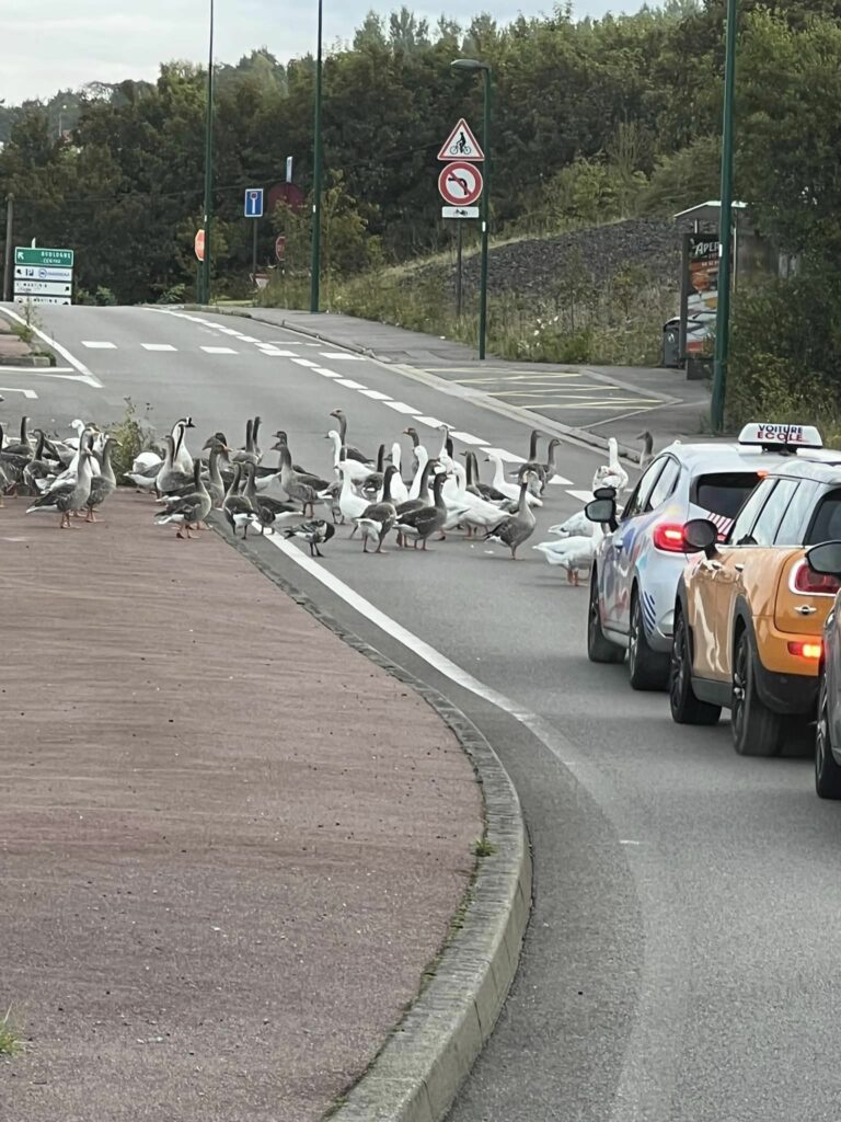 Il n’y a pas que les retours de vacances qui provoquent des bouchons . Ce matin …