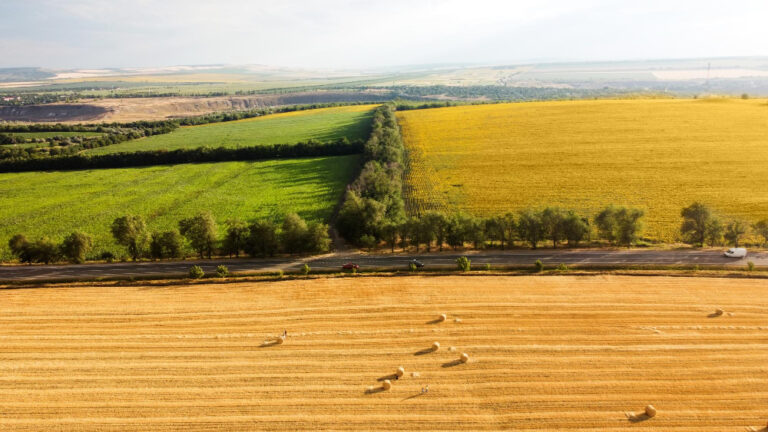 Accord européen avec le Mercosur : le Sénat défend les intérêts agricoles français Accord européen avec le Mercosur : le Sénat défend les intérêts agricoles français