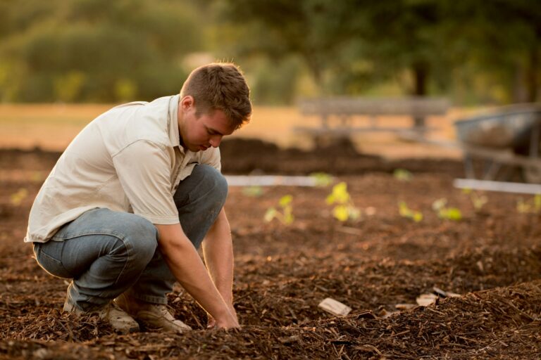 Troubles de voisinage : le Parlement soutient les agriculteurs