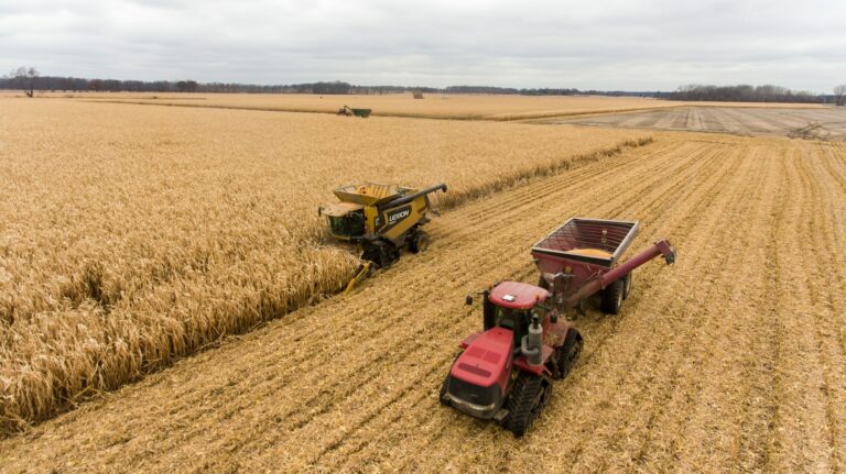 Le Sénat améliore les retraites agricoles
