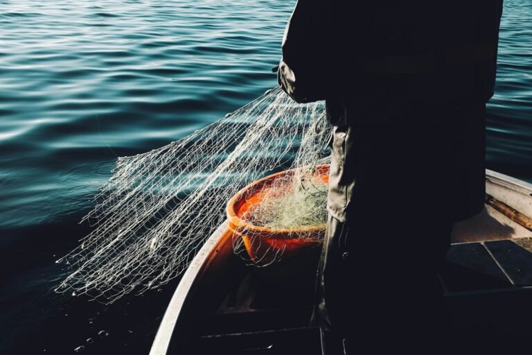 Restrictions à la pêche dans les aires marines protégées britanniques : appel au Sénat pour une réaction ferme de la Commission européenne